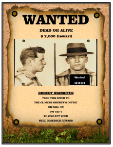 Wanted Poster Design 2