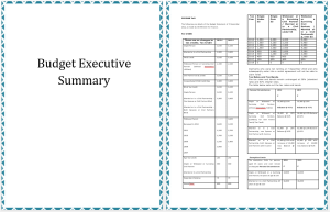 Executive Summary Annual Budget Template